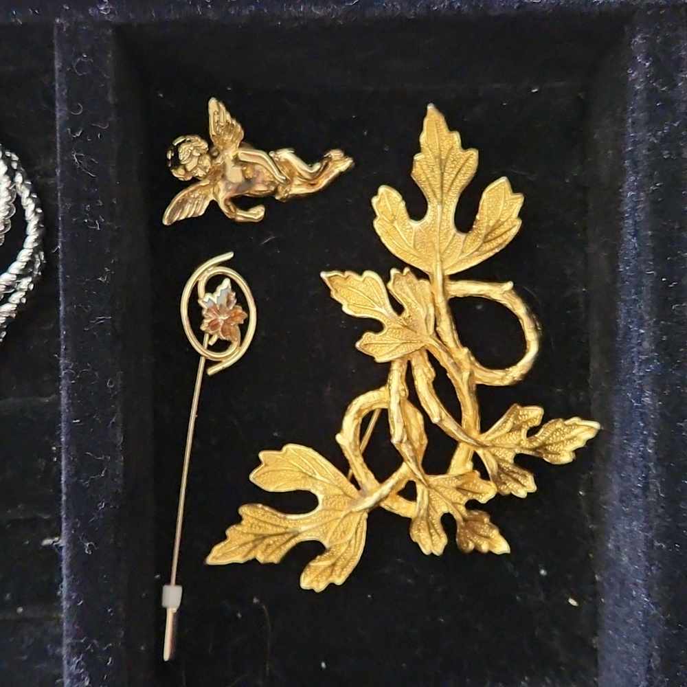 Antique pins / brooches